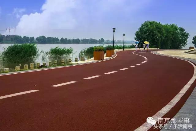 南京踏青赏梅乐享春光,赏梅园