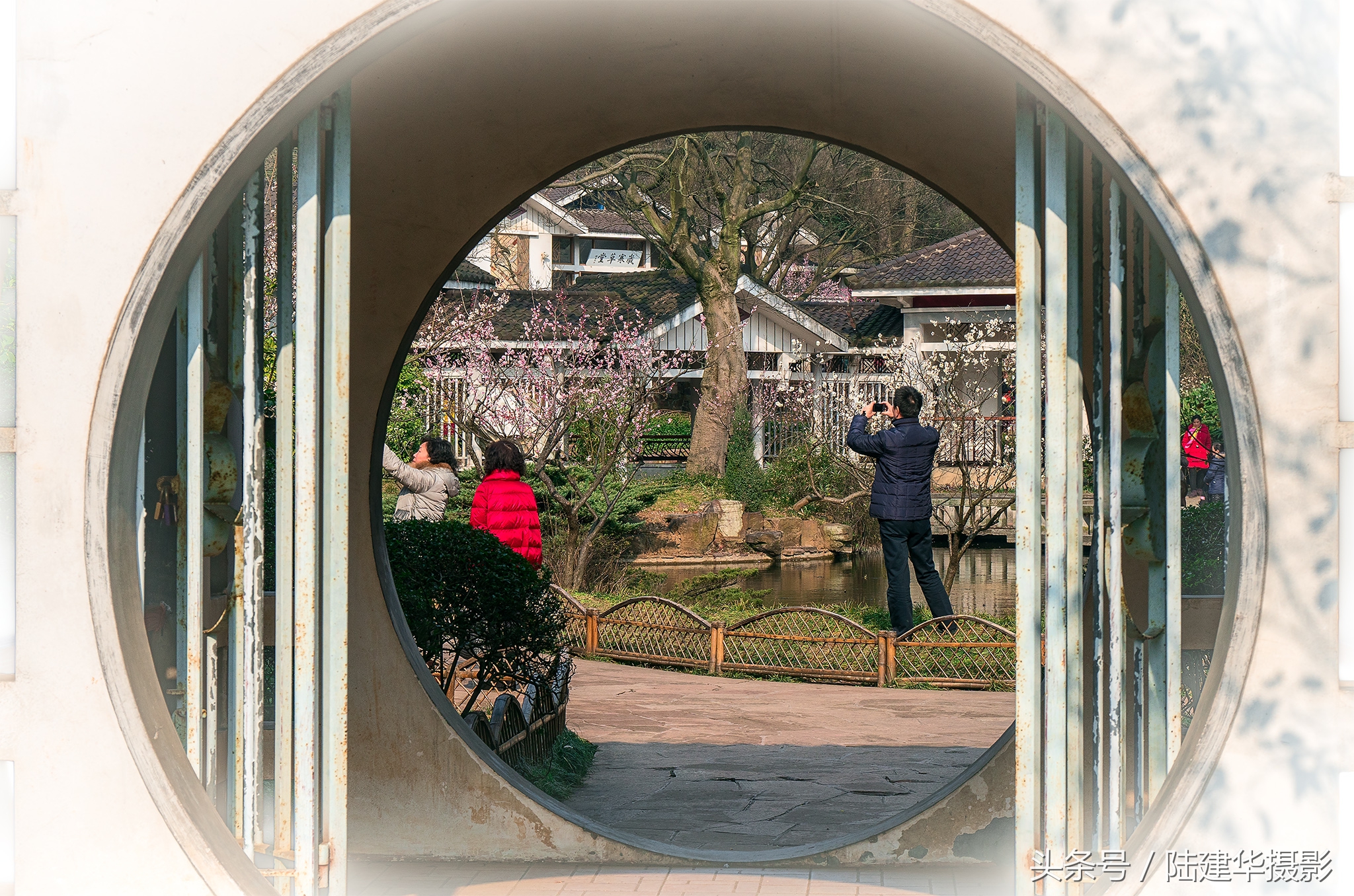 无锡梅园，春风十里不如你