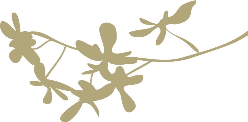 既然爱情抓不住,就让我痛痛快快地当个肥肠爱好者吧