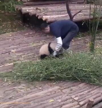 抱大腿暴富后续,抱大腿走上人生巅峰