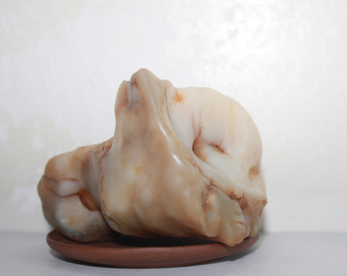 珍馐佳肴饕餮宴,珍馐佳肴宴宾朋