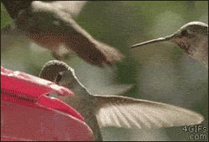 这就是朋友和闺蜜的区别,好朋友和死党区别