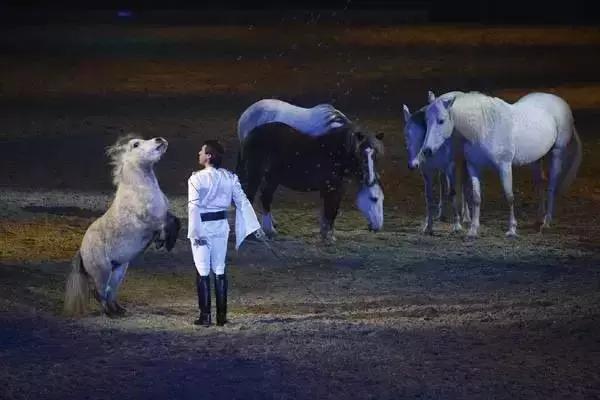 穿白衣服骑马回头,穿草原服装骑马