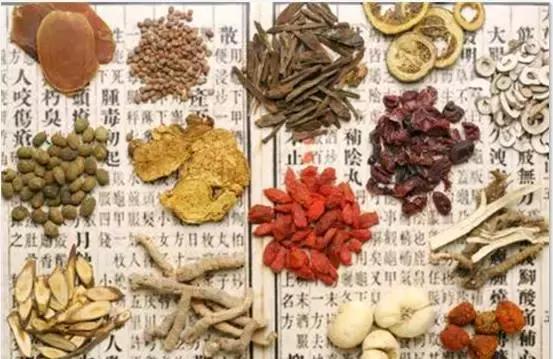 刘虎岐:想种植中草药来赚钱?这些知识点你得先了解!