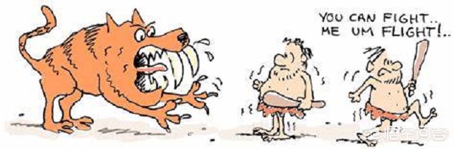 心理紧张引起心慌要紧吗,心慌是怎么回事