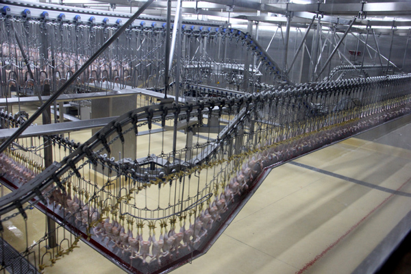 榆树撸起袖子加油干让“三抓”落地生根