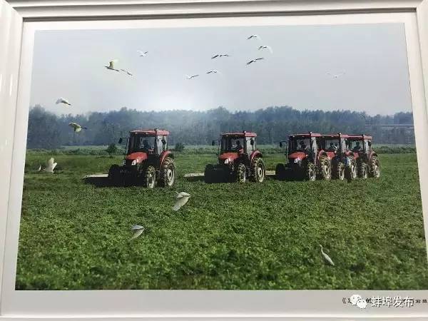 大蚌埠的风景也很美,行走山水之间美丽的自然景色