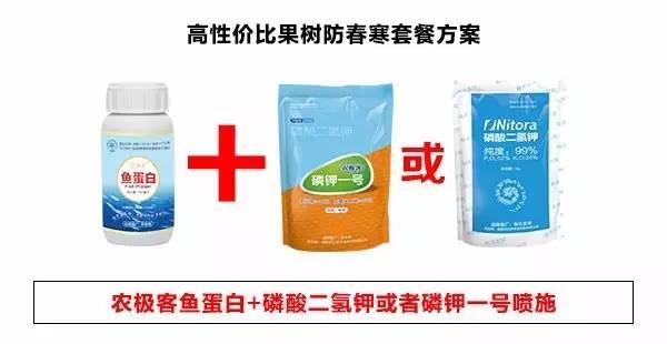 葡萄冻害春天不发芽怎么办,葡萄冷藏过程的冻害表现