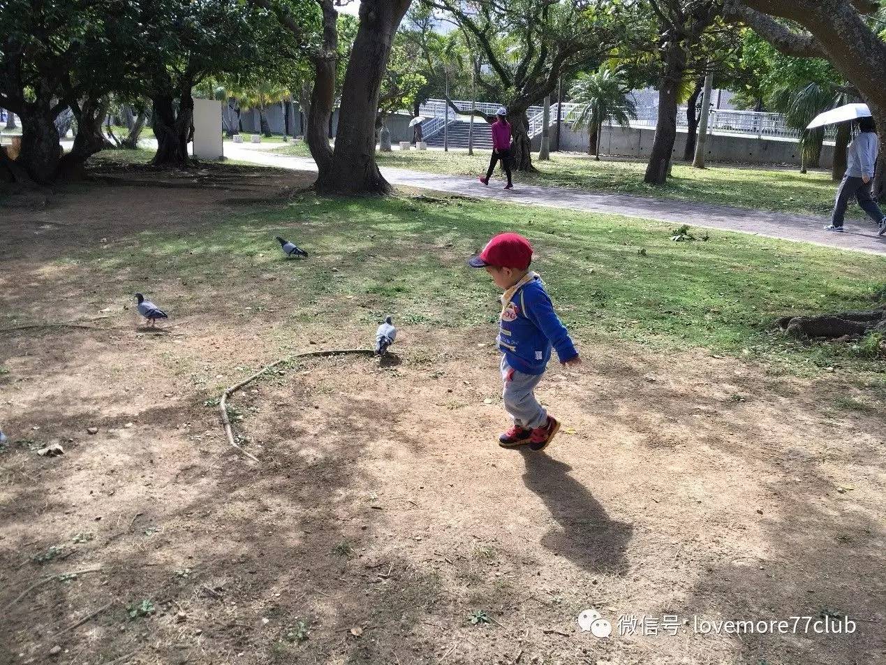 冲绳亲子自由行,成都冲绳亲子游攻略图