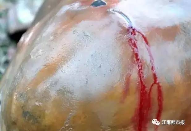 疼！一个铁钩，钩住的是全人类的的心