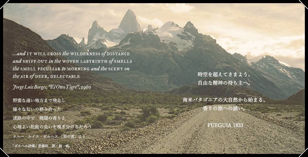 台湾游记凤梨酥,台湾旅游凤梨酥