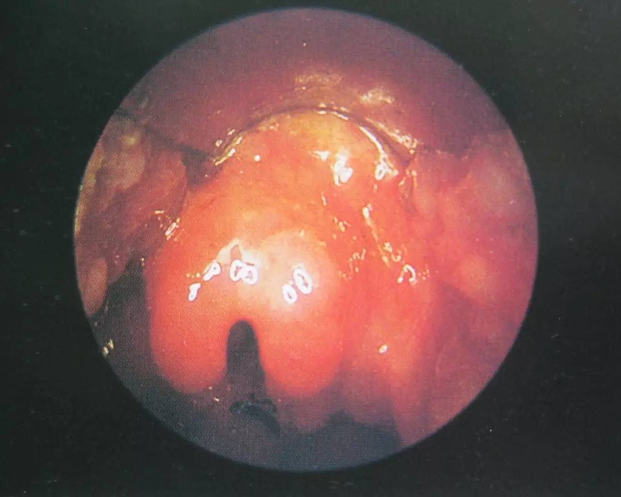 提醒不要疏忽大意的警示语,提醒不要疏忽大意的古句