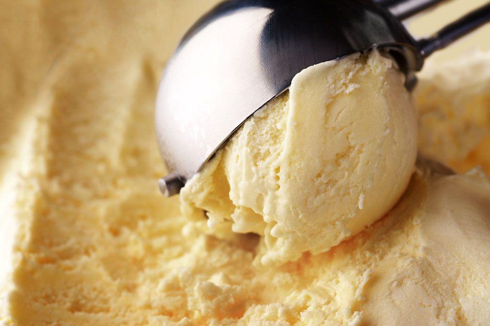 这些冒牌的食品，大家也吃得很香啊丨玉米熊放学小报No.169