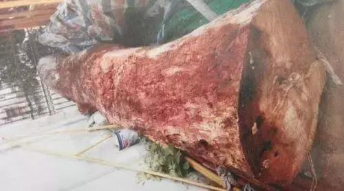 能辟邪的文玩都有啥,文玩中有五种辟邪圣物你知道哪些