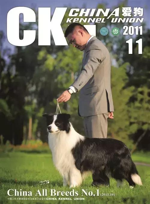 狗狗打比赛项目有哪些,狗狗比赛都有什么项目