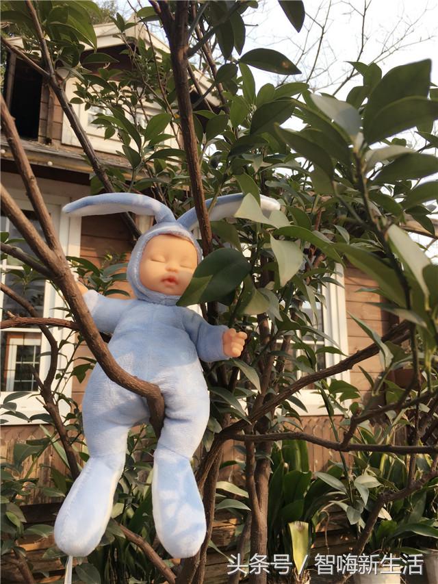 比伯娃娃怎么样,比伯娃娃第二代