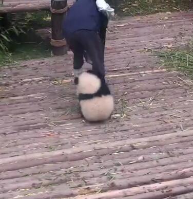 抱大腿暴富后续,抱大腿走上人生巅峰