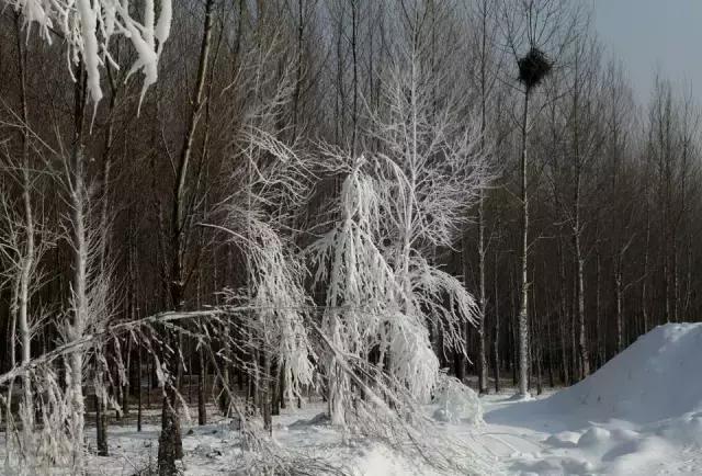 内蒙古通辽市奈曼旗沙漠旅游景点,内蒙古通辽沙漠旅游景点