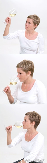 一直被全世界冤枉的白葡萄酒,等你来评理