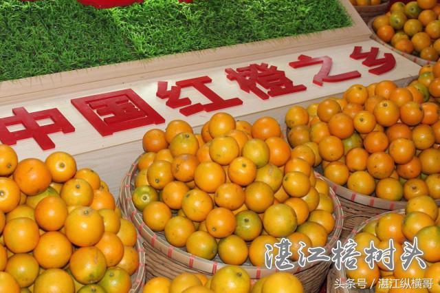 湛江讲雷话、吴川话以及各市县区的人是怎样互相调侃的？