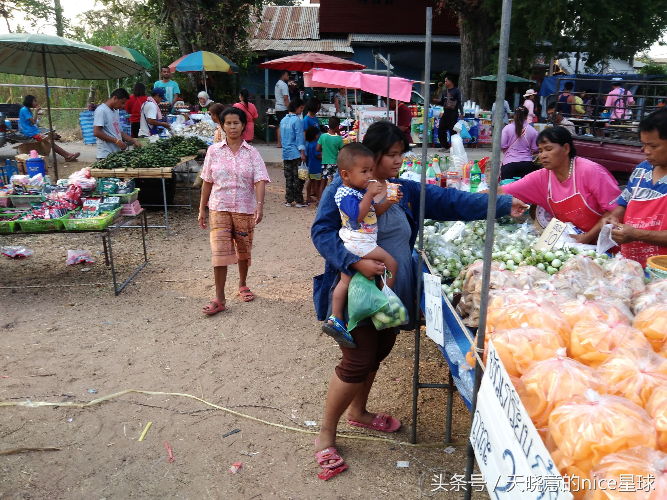 泰国大象旅行记,泰国旅游跟大象近距离接触