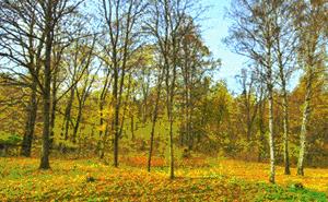 不会拍照应该怎么委婉的说,不会笑怎么拍照