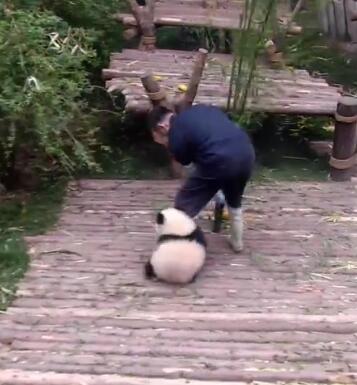 抱大腿暴富后续,抱大腿走上人生巅峰