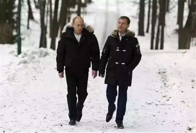 万人迷“加拿大鹅”要上市,揭秘凭什么这些老树能开花