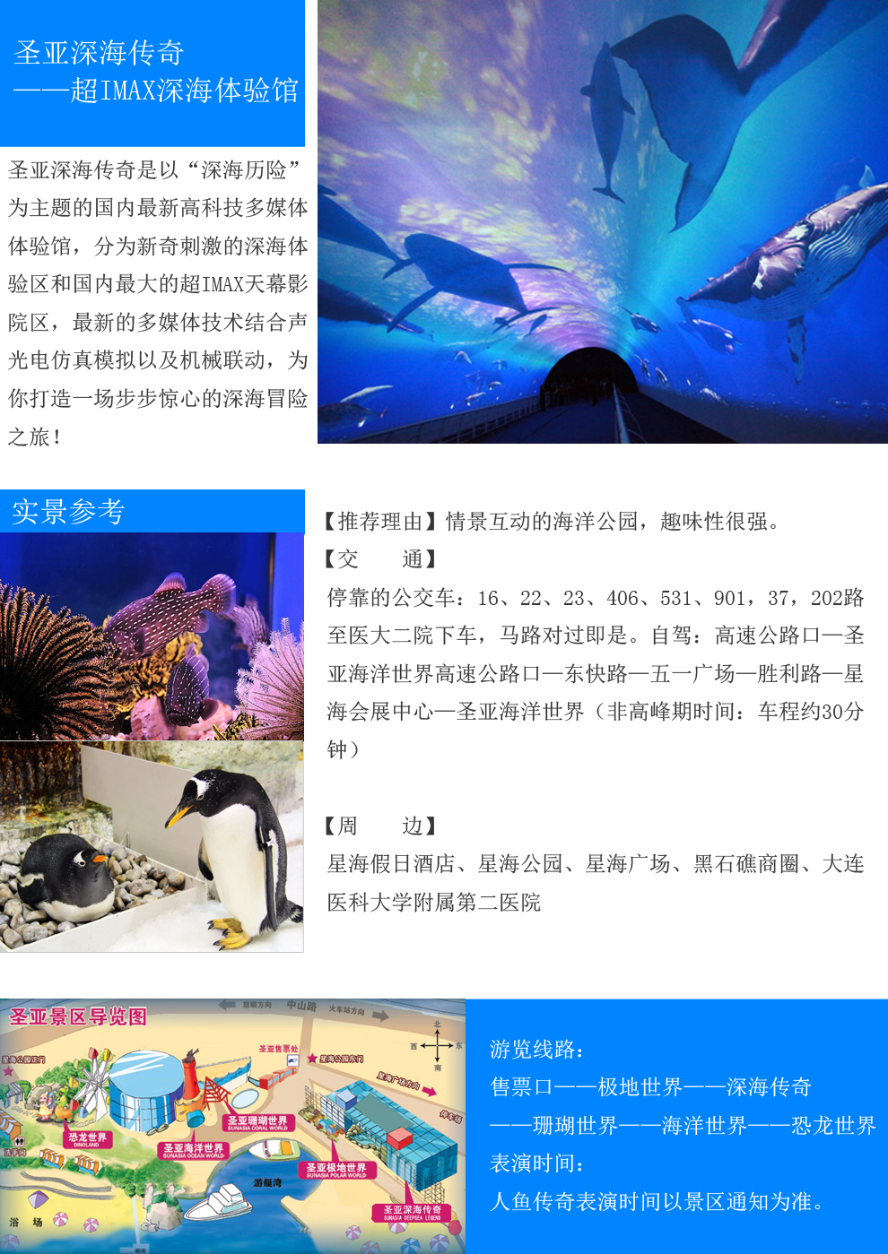 大连圣亚海洋世界坐几路公交车,大连圣亚海洋世界飞鸟萌宠乐园