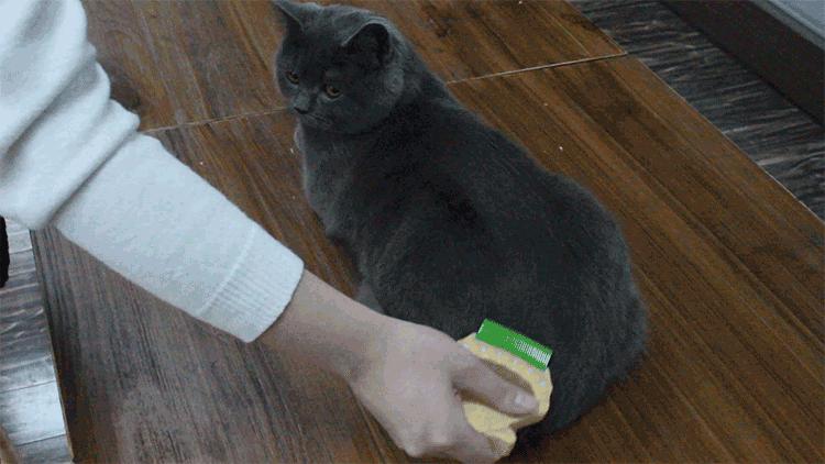 宠物除毛梳,宠物除毛神器哪个好用