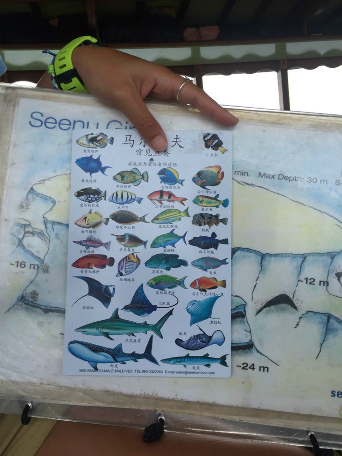 亲爱的我们一起去旅行歌曲,一起看海是我们的约定马尔代夫