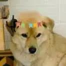 这里有一个坐银魂时光机的机会，可以看看去年的你