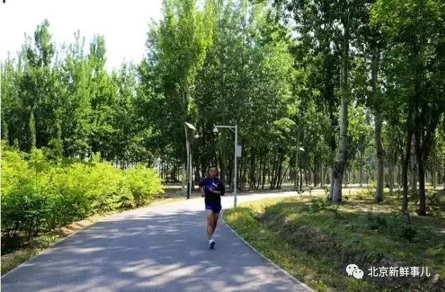 北京植物园踏青赏花,踏青赏花北京