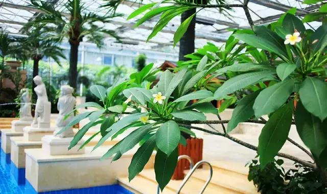 厉害了我的廊坊！这个有着美丽风景和高颜值的城市，变身“网红”