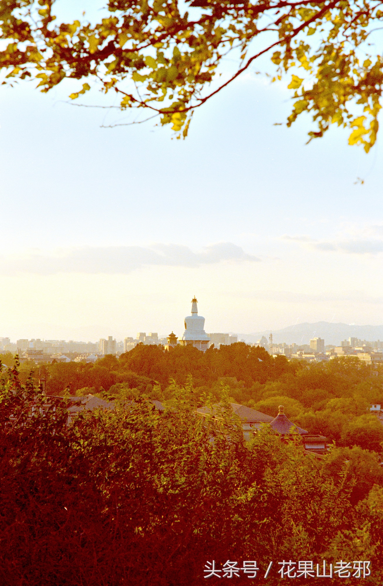怎样用x光胶片翻拍人像底片,翻拍胶片底片如何处理