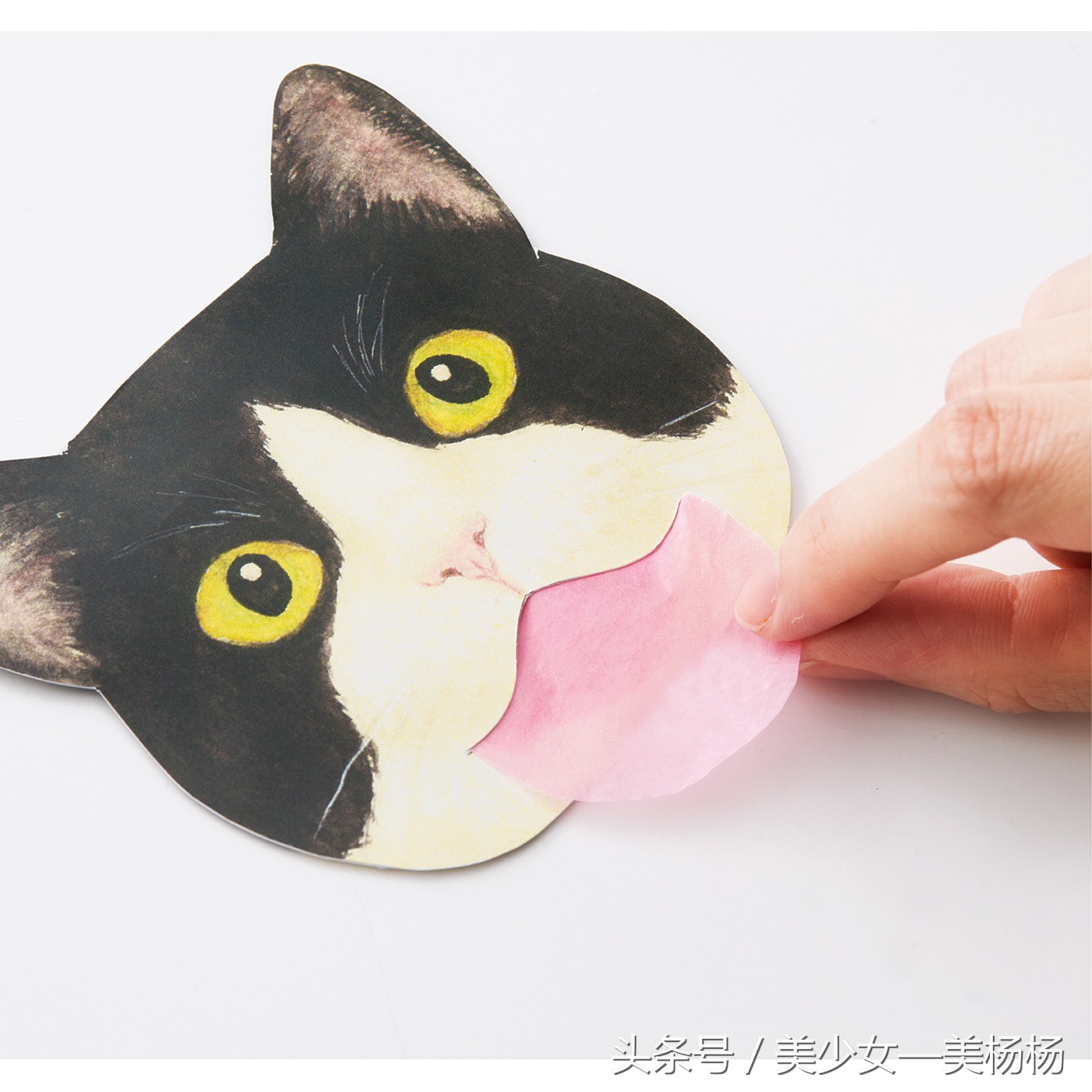 你们都是美杨杨爱的喵！萌到众生的猫咪系美妆品，喵星人驾到！