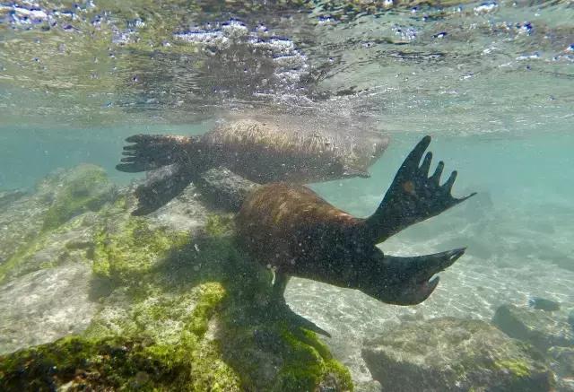 这才是旅行的样子,从亚洲至南美洲,他比我们多了点勇气和决心