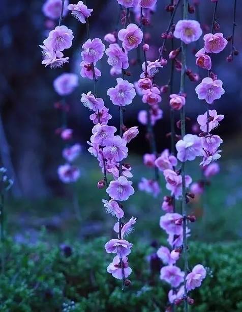 这份成语分类大全替孩子存下吧,成语分类积累整理大全