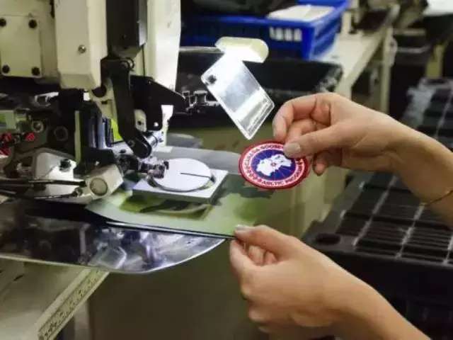 万人迷“加拿大鹅”要上市,揭秘凭什么这些老树能开花