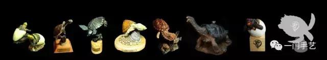 动物模型龟类,乌龟哪个模型好看