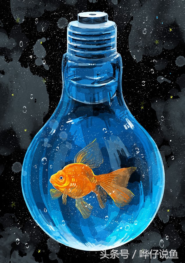 新手养鱼谨记这几点才能不死鱼,养鱼不死鱼的三个绝招是什么