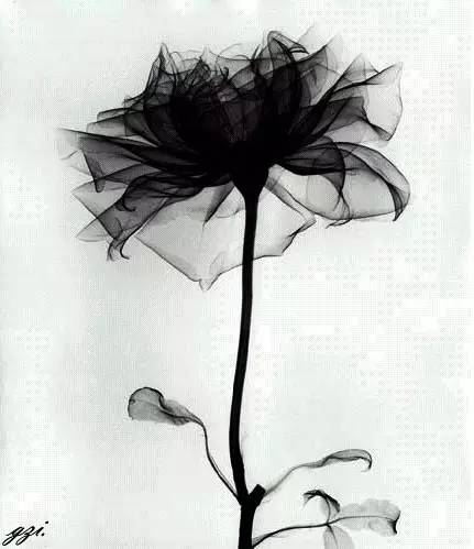 作为女人,这些基本妇科知识你都知道吗?