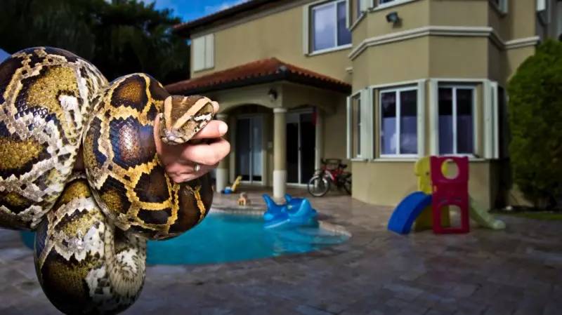 外来入侵给我们的警示,外来入侵的途径