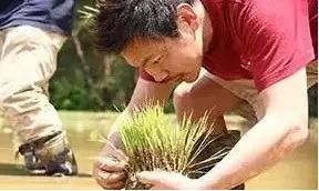 将一个濒临倒闭的百年米店做到年入15亿，他却更怕孩子们