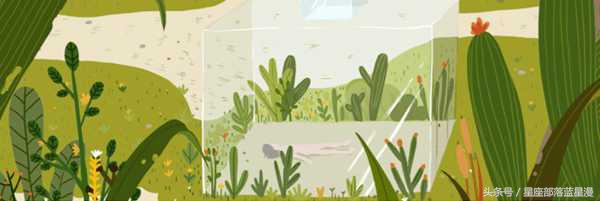 12星座一点就炸的雷区,12星座最不容易被坑的星座