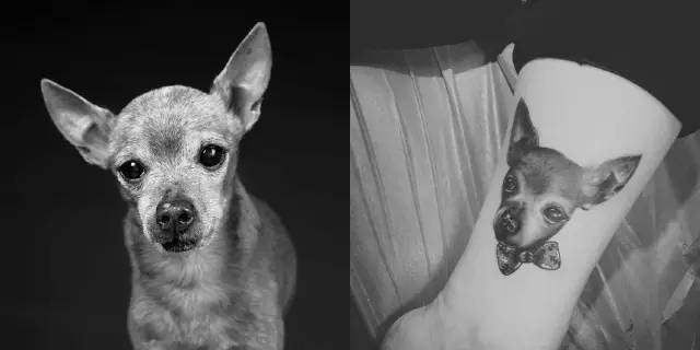 “谁再说纹身是纯装X无意义，我就让老公们去怼住他的嘴”