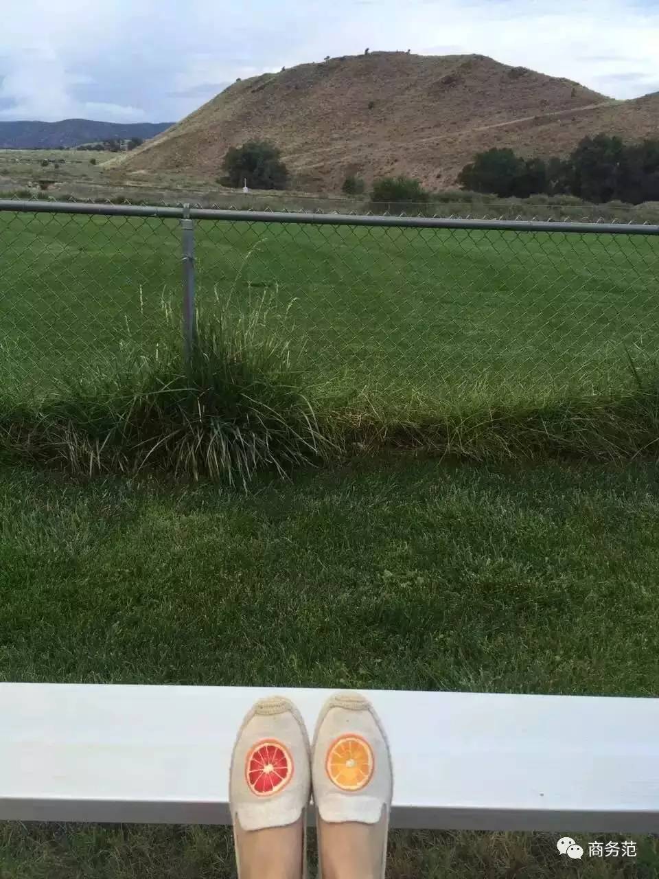 分享出你买过最后悔的东西,分享一次自己难忘的购买经历