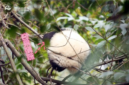 抱大腿暴富后续,抱大腿走上人生巅峰