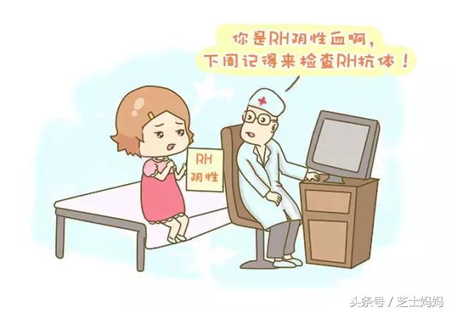 熊猫血生娃的成功率高吗,熊猫血如何生二胎