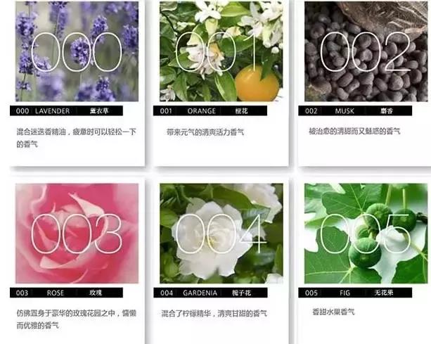 冷门却好用到爆的护肤品大盘点,盘点5款小众护肤品明明好用不贵